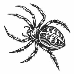 Spider Black silhouette