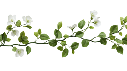 Elegant Green Vine with White Flowers Perfect for Backgrounds and Decorative Themes