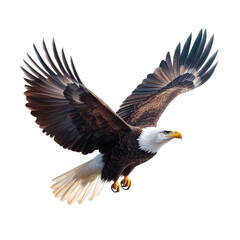 Obraz premium Majestic Bald Eagle in Flight with Outstretched Wings Against a Clear Blue Sky