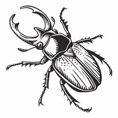 Beetle Black silhouette