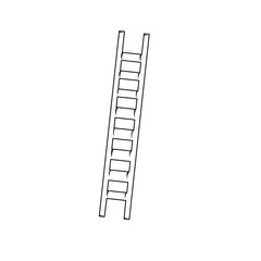 ladder isolated on white