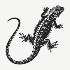 Naklejka premium Lizard Black silhouette