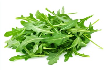 isolated fresh arugula salad without meat