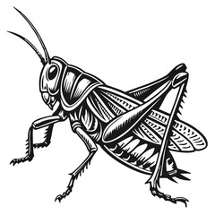 Grasshopper Black silhouette
