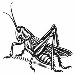 Grasshopper Black silhouette