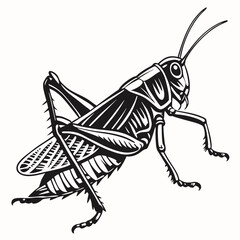 Grasshopper Black silhouette