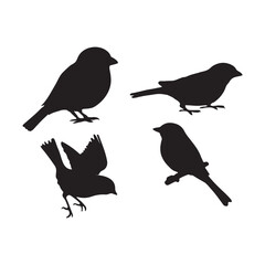 sparrow vector illustration style flat black silhouette, silhouette of sparrow or titmouse in different poses, black and white, sparrow icon or logo illustration