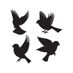 sparrow vector illustration style flat black silhouette, silhouette of sparrow or titmouse in different poses, black and white, sparrow icon or logo illustration
