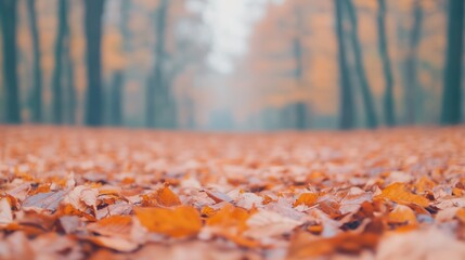 Vibrant Autumn Leaves Covering Forest Floor in Low Angle View Showcasing Nature Beauty in Tranquil Setting With Soft Light and Warm Colors in Vertical Format Ideal for Seasonal Photography