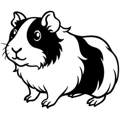 Fototapeta premium Guinea Pig on white background