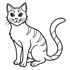 black and white cat