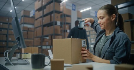 Female inventory manager scans parcel with barcode scanner, prepares for shipping to customer, works on computer. Warehouse employee checking boxes for shipping. E-commerce store or postal service.