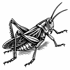 Grasshopper Black silhouette