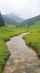 Fototapeta premium Mountain River Flowing Through Lush Green Valley with Pine Trees Under Misty Sky in Raw Perspective, Idyllic Nature Scene**