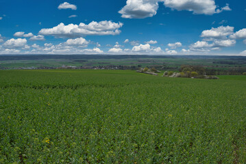 Frühling im Coburger Land Oberfranken Deutschland