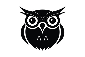 owl on white background