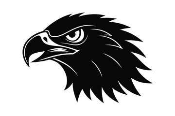eagle head isolated on white