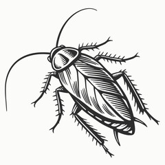 Cockroach Black silhouette