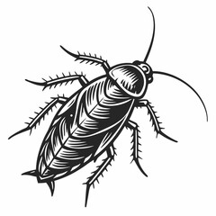 Cockroach Black silhouette