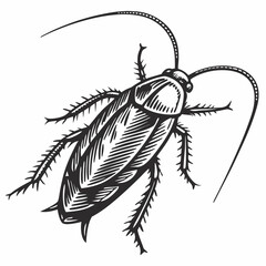 Cockroach Black silhouette