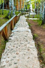 A stone path with a wooden fence on either side