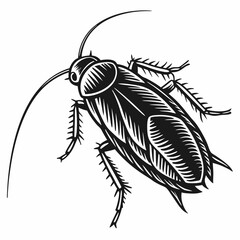 Cockroach Black silhouette
