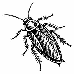 Cockroach Black silhouette