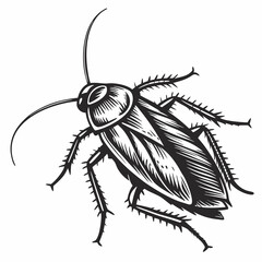 Cockroach Black silhouette