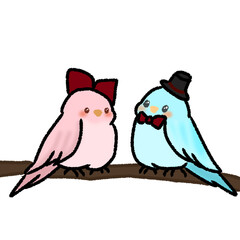 bird