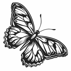 Butterfly Black silhouette