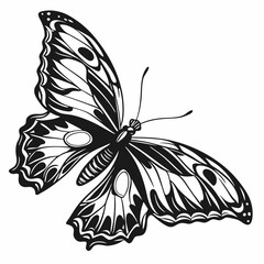 Butterfly Black silhouette