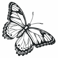 Butterfly Black silhouette