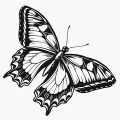 Butterfly Black silhouette