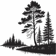 Reflection in water, pine tree forest Black silhouette