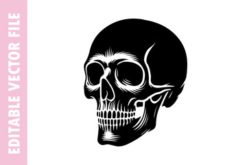 human skull, skull vector design