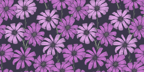 Bright purple and lilac seamless pattern with delicate engraved chamomile flowers. Vintage hand drawn print of beautiful violet daisy flower for textile, wrapping paper, surface, background