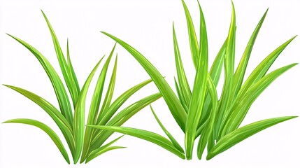 Obraz premium illustration of aloe vera leaves isolated on a white background, showcasing their thick, succulent texture and vibrant green color with natural lighting. [Aloe Vera]:[isolate on white background] 