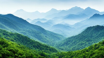 Fototapeta premium A serene mountain landscape showcasing lush greenery and misty peaks, illustrating the beauty of nature's tranquility.