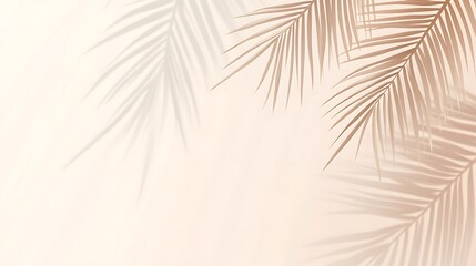Obraz premium Light pink summer background with palm shadows, minimalist style