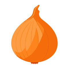 Whole onion isolated on background Flat  vector illustration (1)