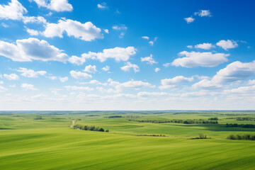 Fototapeta premium Aerial View of a Peaceful and Serene Field Under the Glowing Sun