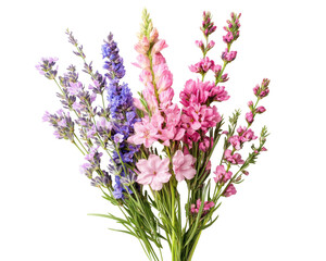 Obraz premium Colorful bouquet of pink, purple, and blue flowers, white isolate background.