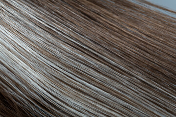 Play of colors in hair: The macro photograph reveals the texture of the hair, where the brown...