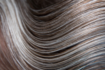 Transition of shades: The macro image of the hair highlights the difference between the rich brown tone and the silver-platinum gray strand, drawing attention to the texture and natural pigment.