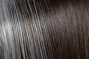 Contrast of brown and gray hair: A macro shot highlights the sharp transition between brown strands and silver-gray hair, emphasizing the texture, platinum shine, and natural pigment of the hair.