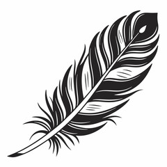 Obraz premium Bird feather silhouettes. bird feather icon Black Silhouette