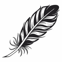 Obraz premium Bird feather silhouettes. bird feather icon Black Silhouette