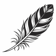 Obraz premium Bird feather silhouettes. bird feather icon Black Silhouette