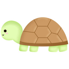 turtle cartoon.