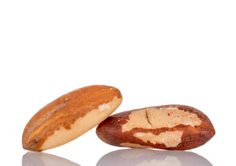 Two Brazil nuts, close-up, isolated on white background.